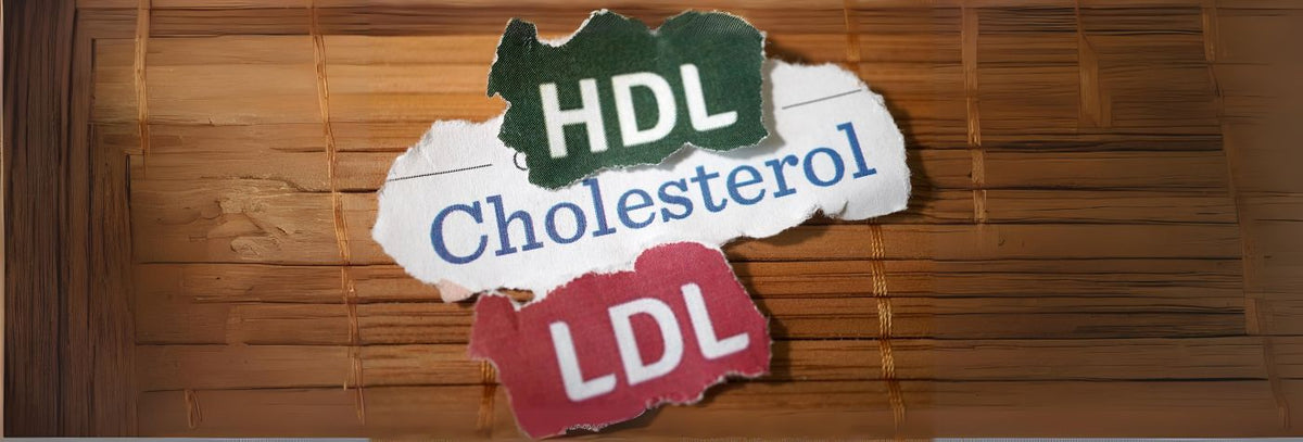 Difference Between LDL and HDL Cholesterol | Inner Thera